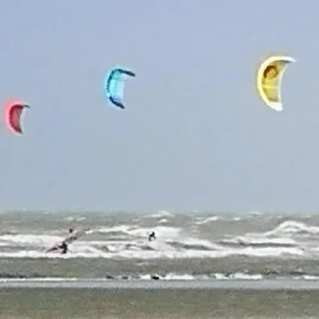 Zeester En Koffie. Oostduinkerke-Bad
