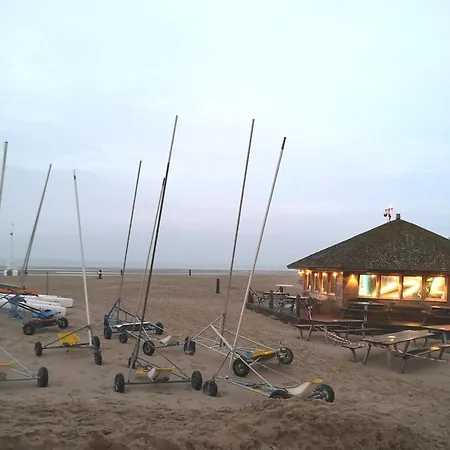 Zeester En Koffie. *