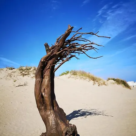 아파트 Zeester En Koffie. *